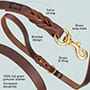 Upgraded Ultimate Professional Leather Dog Leash