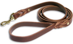 Best Leather Dog Leash for Control of Braided Design
