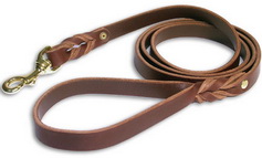 Handcrafted Leather Dog Leash with Elegant Braids