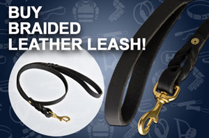 Handcrafted Leather Dog Leash with Elegant Braids
