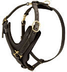 Leather dog harness