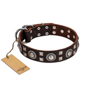 "Beautiful Treasure" FDT Artisan Beautiful Brown Leather Dog Collar with Silver-Like Decorations
