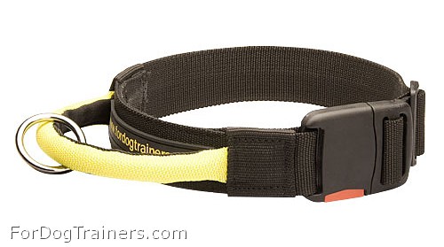 dog collar with handle