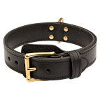 2 ply leather agitation dog collar