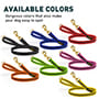 New I-Grip High Quality Training Dog Leash