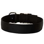 Nylon Dog Collar for Any Weather Walking and Training Nylon Dog Collar for Any Weather Walking and Training