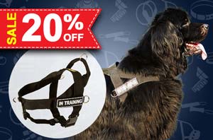 Nylon dog harness