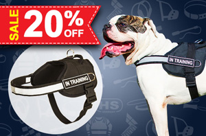 Nylon Dog Harness