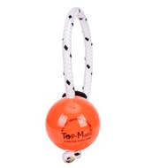Plastic Dog Ball with a Set of Magnets for Training and Playing Plastic Dog Ball with a Set of Magnets for Training and Playing