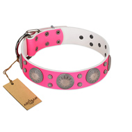 "Silver Star" Fantastic FDT Artisan Pink Leather Dog Collar with Engraved Studs "Silver Star" Fantastic FDT Artisan Pink Leather Dog Collar with Engraved Studs