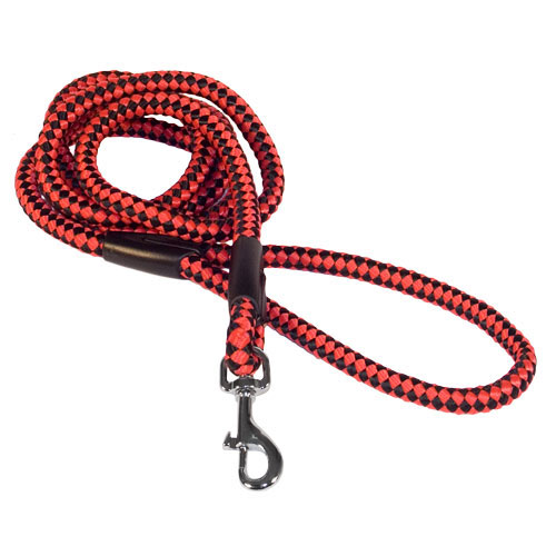 Black&Red Nylon Dog Leash