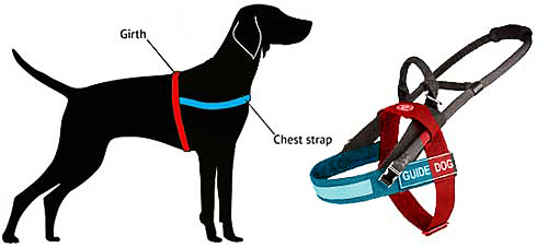 How to measure harness