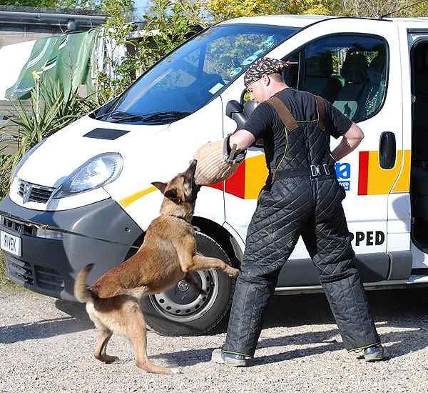 Protection Scratch Pants for Dog Training