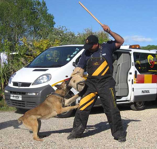 Protection Scratch Pants for Dog Training