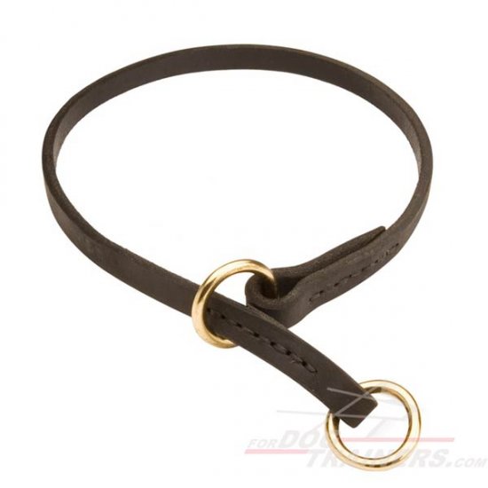 Training Choker Dog Collar Silent in Action