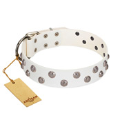 "Wild Flora" FDT Artisan White Leather Dog Collar with Silver-like Engraved Studs "Wild Flora" FDT Artisan White Leather Dog Collar with Silver-like Engraved Studs