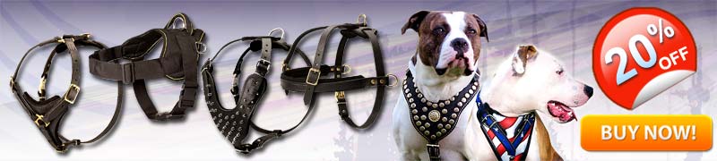 Professional Nylon and Leather Dog Harnesses
