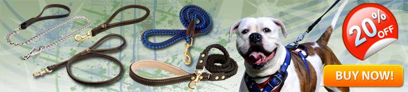 Dog Leashes for Training and Walking
