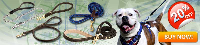 Dog Leashes for
Training