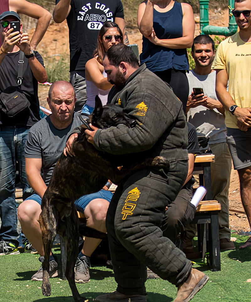 Dog Bite Jacket Pro Competition Style PBS6J1073 Bite suit