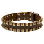 New leather dog collar - Fashion Exclusive Design - "Caterpillar"