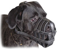 Cane Corso Everyday Light Weight Super Ventilation Dog Muzzle