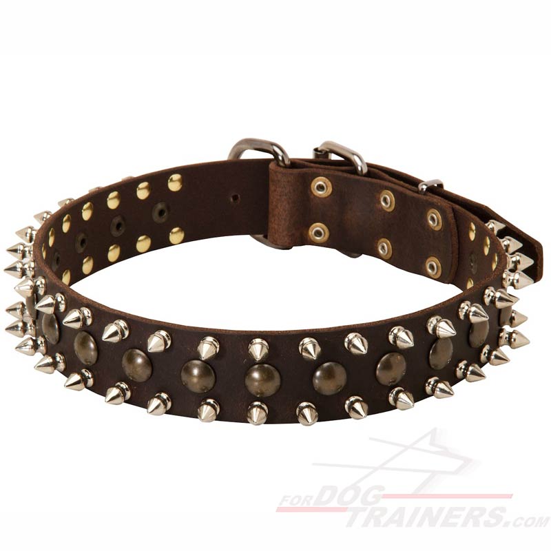 Studded Dog Collar - Unique and Stylish Dog Collar