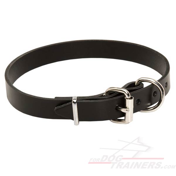 Strong Leather Dog Collar with Heavy-Duty Fittings