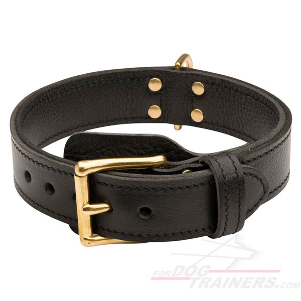 2 Ply Leather Dog Collar