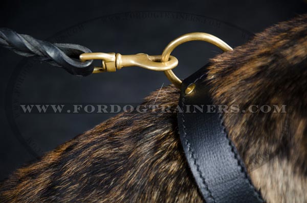 Collar equipped with D-ring for dog leash