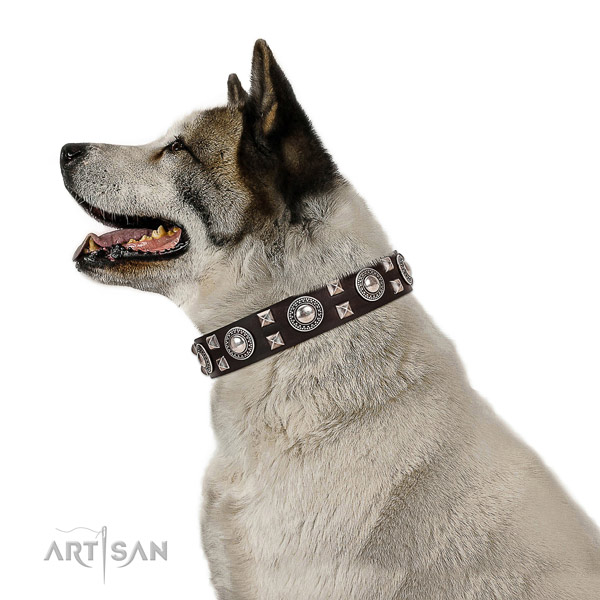 Handcrafted walking leather Basset Hound collar