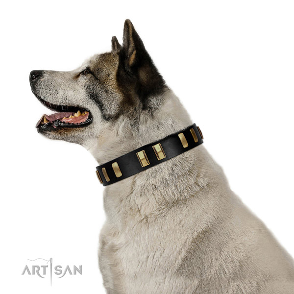 Everyday use dog collar of trendy leather