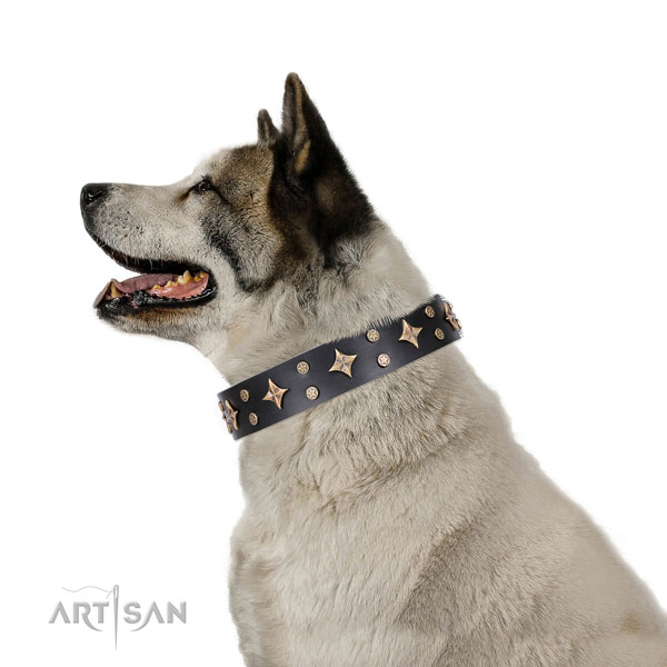 Akita Inu incredible full grain natural leather dog collar with embellishments