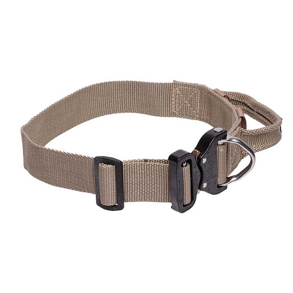 Amazing Nylon Dog Collar with Handle