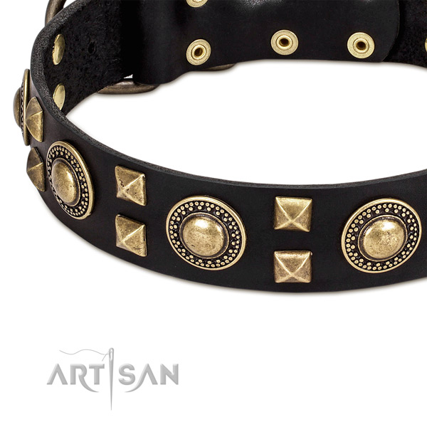 Modern leather dog collar with cool decorations