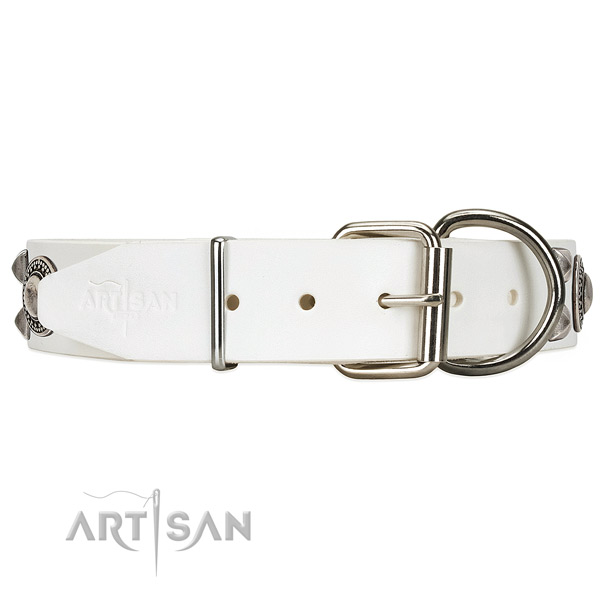 Strong leather dog collar with chrome plated hardware
