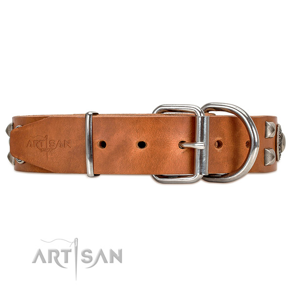 Strong leather dog collar with chrome plated hardware