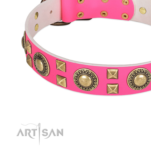 Modern leather dog collar with cool decorations