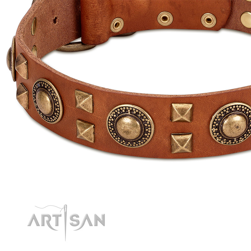 Modern leather dog collar with cool decorations