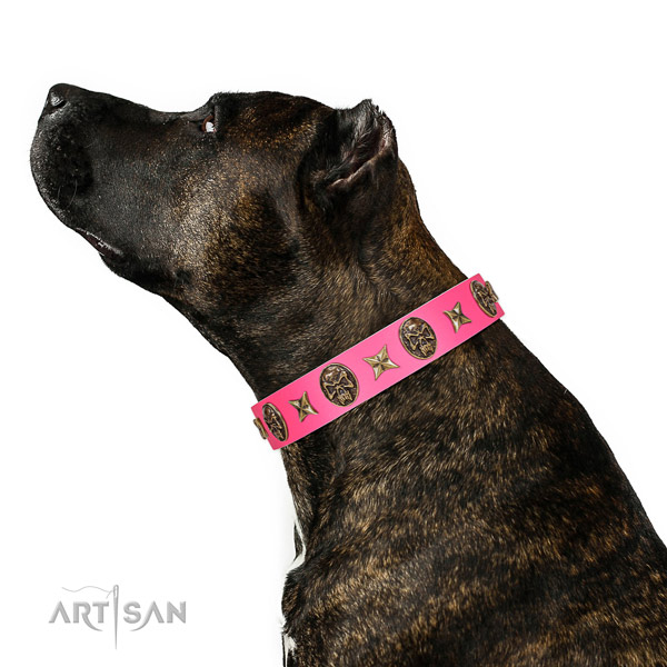 Soft Leather Akita Inu Collar for Daily Use