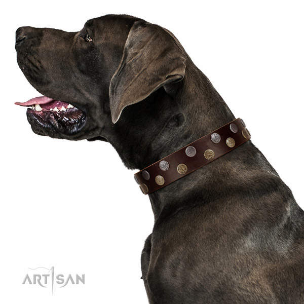 Handmade leather Great Dane collar with antique design