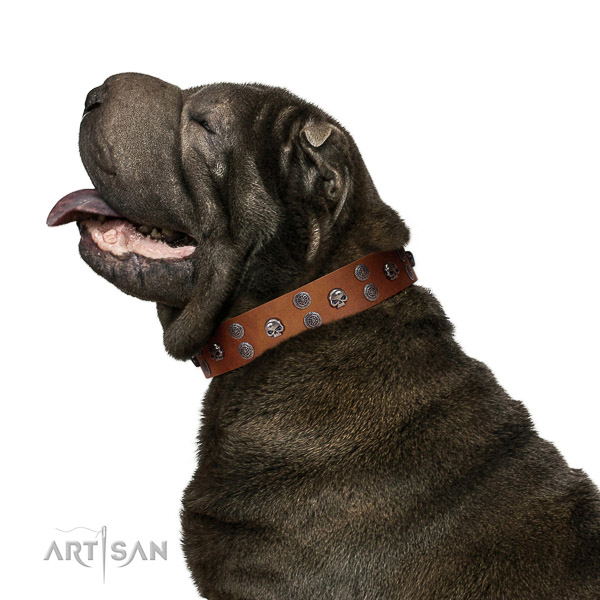 Tan Leather Shar Pei Collar with Riveted Medallions