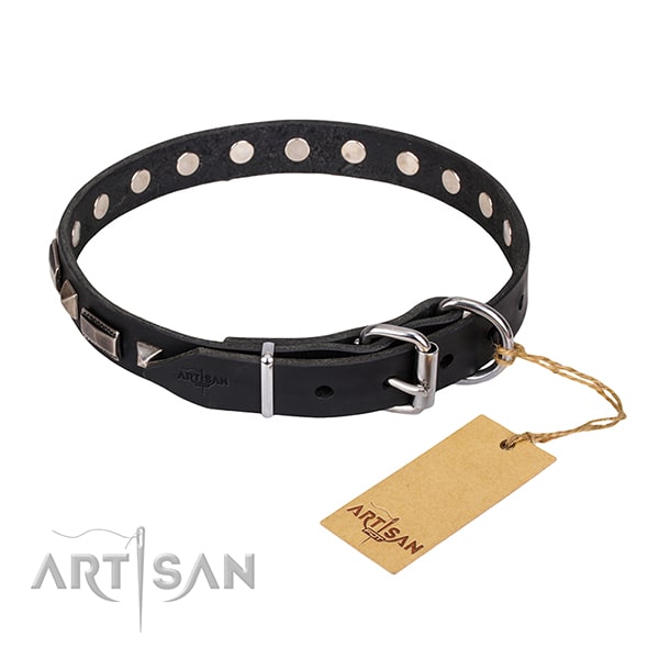 FDT Artisan leather dog collar for walks