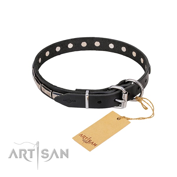 FDT Artisan leather dog collar for walks