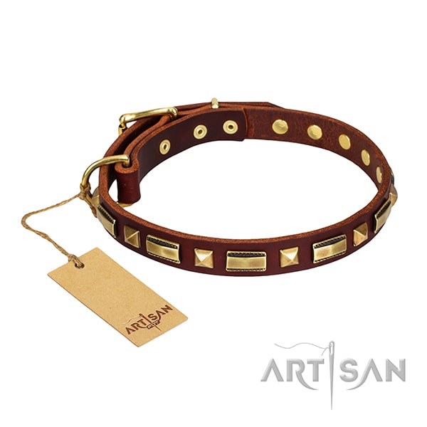 Stunning FDT Artisan leather dog collar