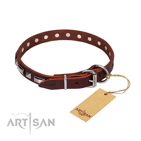 Fabulous FDT Artisan leather dog collar