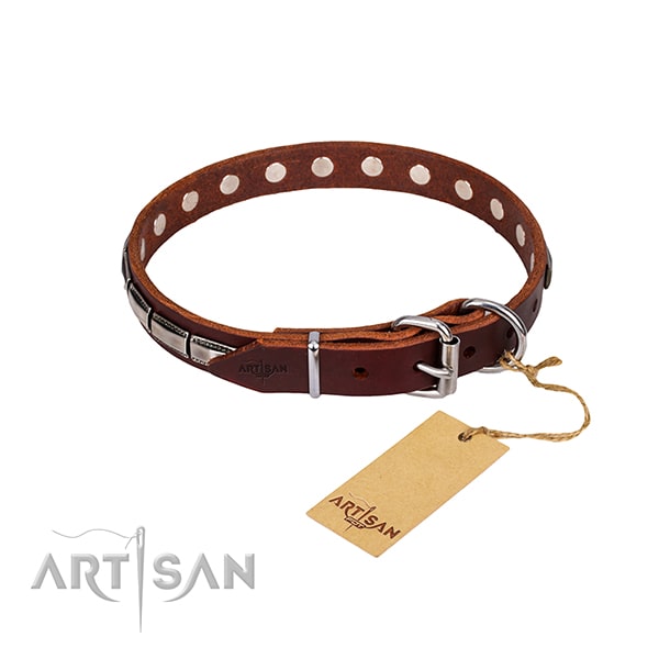 Fabulous FDT Artisan leather dog collar