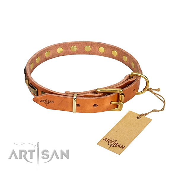 Tan Leather dog collar with gold-like hardware