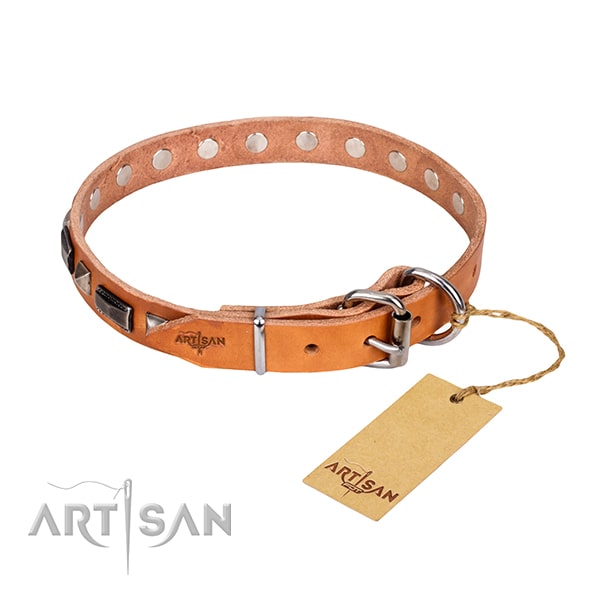 Leather dog collar with silver-like hardware