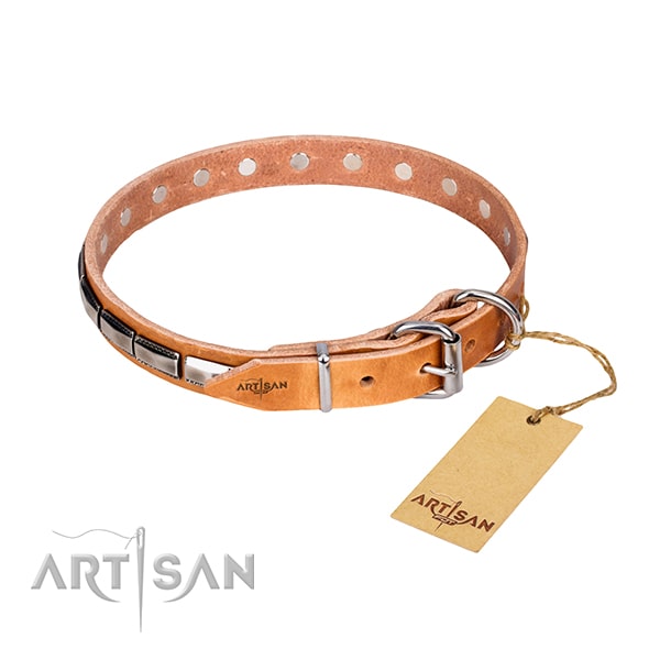 Leather dog collar with silver-like hardware